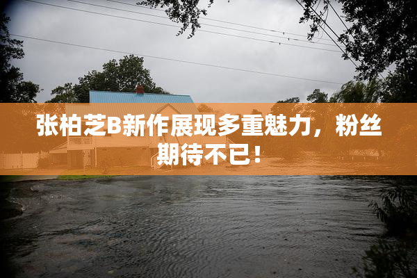 张柏芝B新作展现多重魅力，粉丝期待不已！
