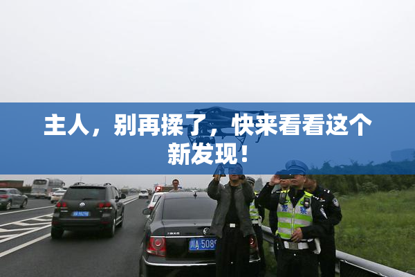 主人，别再揉了，快来看看这个新发现！