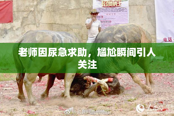 老师因尿急求助，尴尬瞬间引人关注