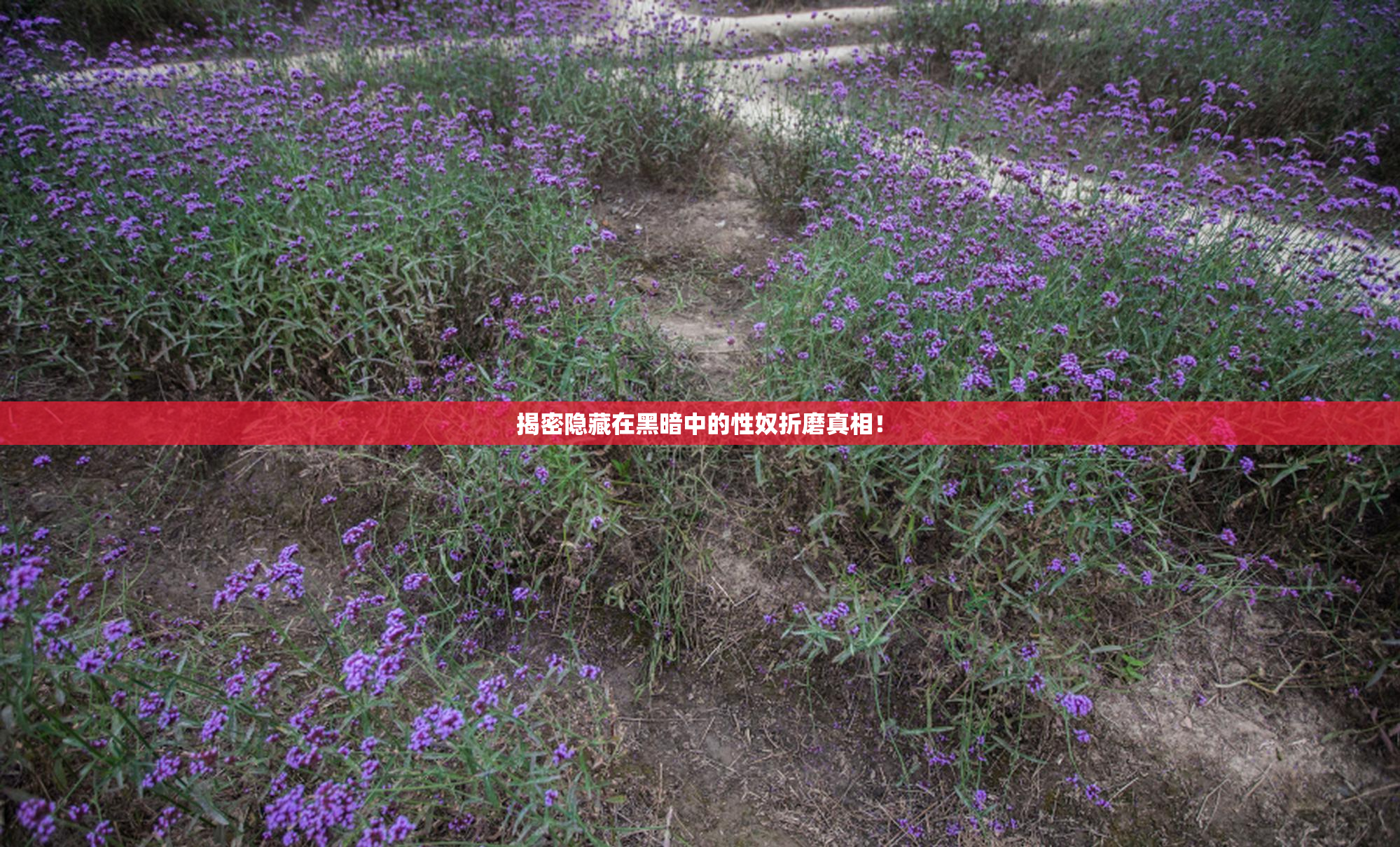 揭密隐藏在黑暗中的性奴折磨真相！