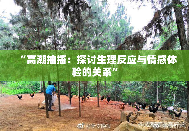 “高潮抽搐：探讨生理反应与情感体验的关系”