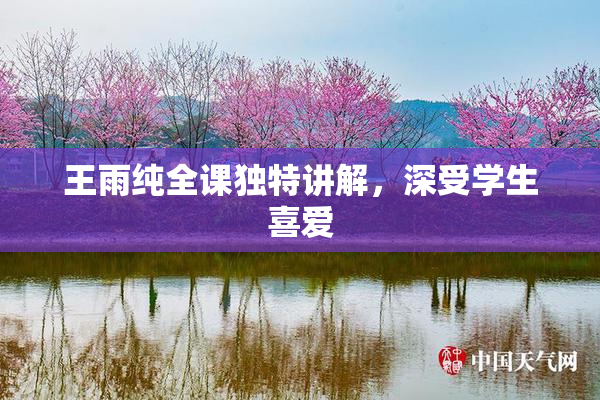 王雨纯全课独特讲解，深受学生喜爱