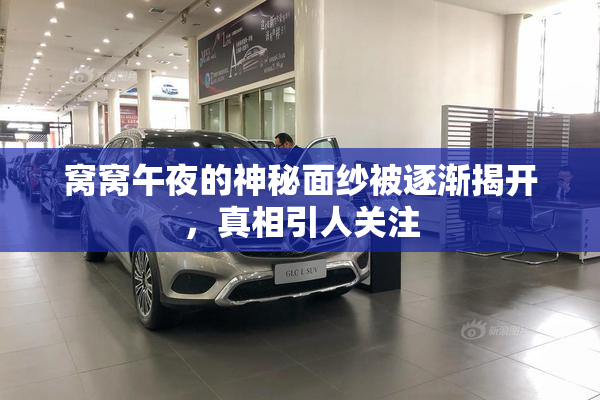 窝窝午夜的神秘面纱被逐渐揭开，真相引人关注