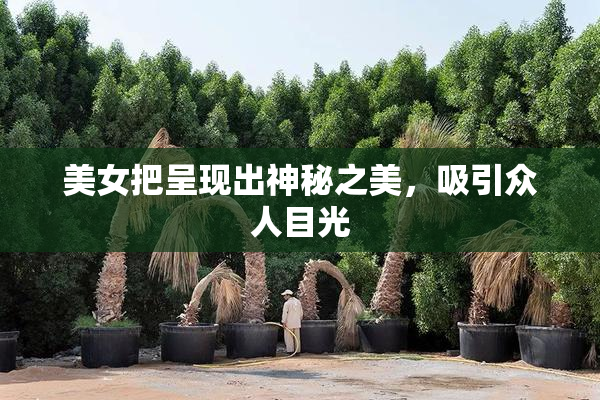 美女把呈现出神秘之美，吸引众人目光