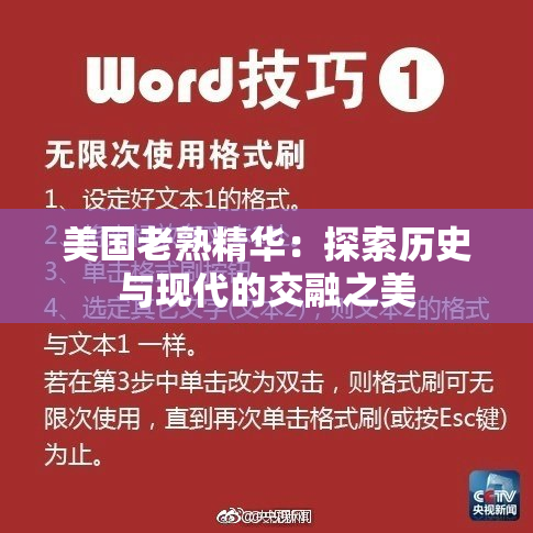 美国老熟精华：探索历史与现代的交融之美