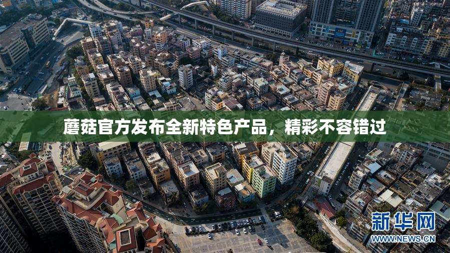 蘑菇官方发布全新特色产品，精彩不容错过