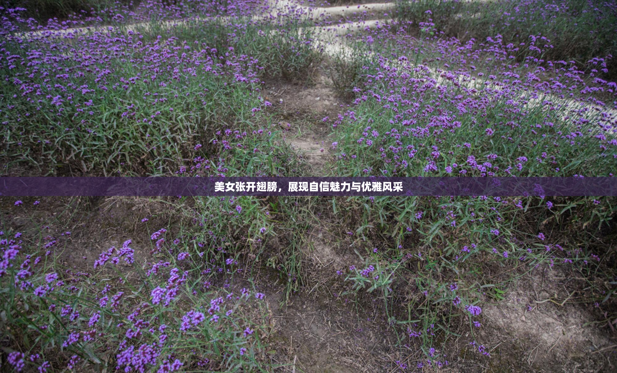 美女张开翅膀，展现自信魅力与优雅风采