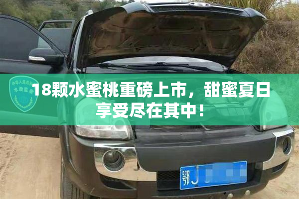 18颗水蜜桃重磅上市，甜蜜夏日享受尽在其中！