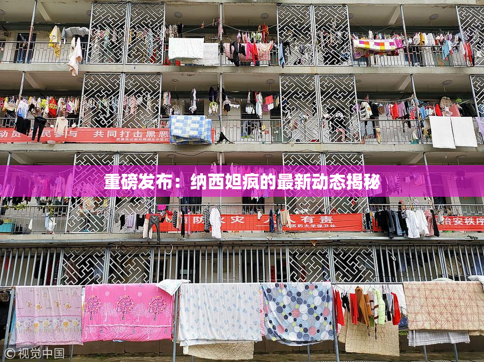 重磅发布：纳西妲疯的最新动态揭秘