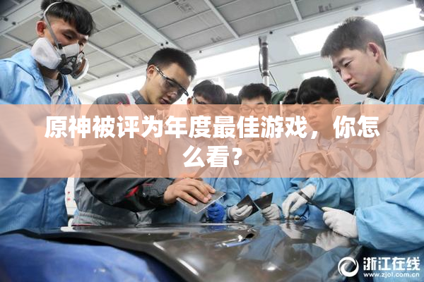 原神被评为年度最佳游戏，你怎么看？