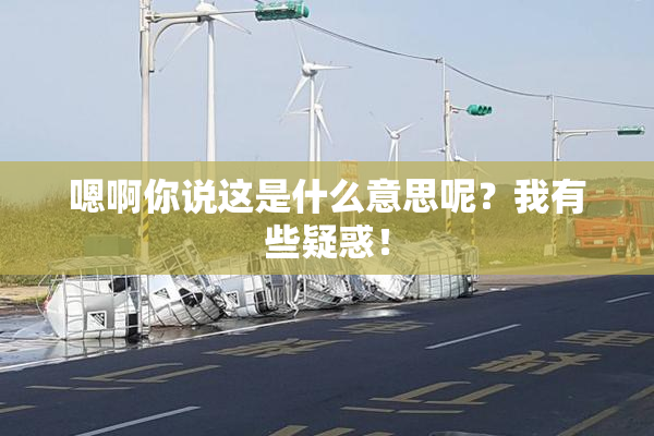 嗯啊你说这是什么意思呢？我有些疑惑！