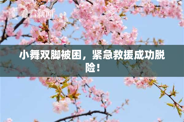 小舞双脚被困，紧急救援成功脱险！