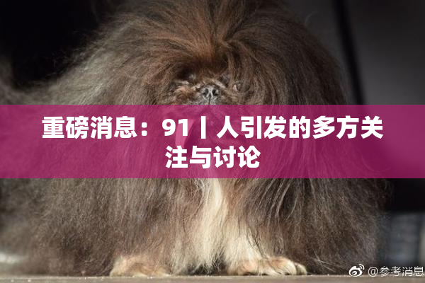 重磅消息：91丨人引发的多方关注与讨论