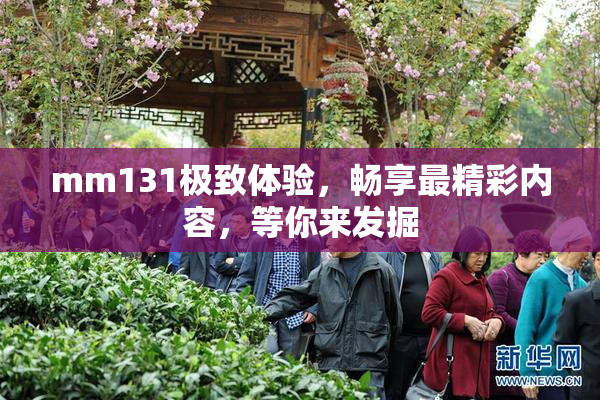 mm131极致体验，畅享最精彩内容，等你来发掘