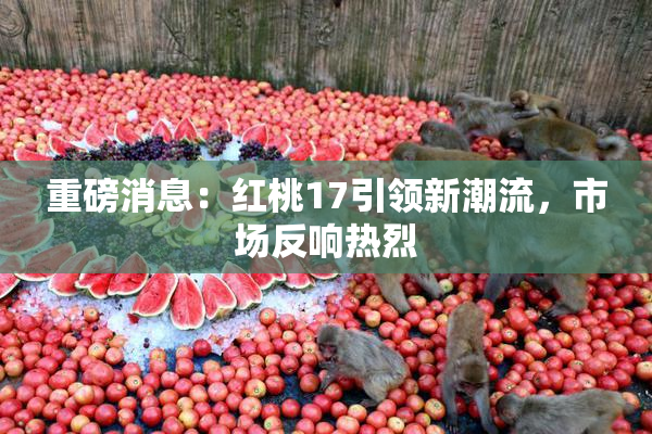 重磅消息：红桃17引领新潮流，市场反响热烈