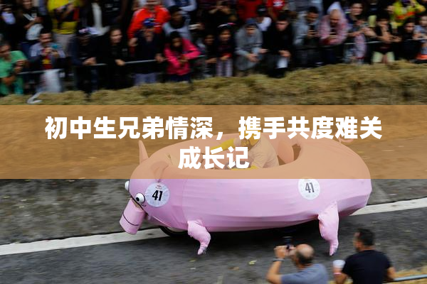 初中生兄弟情深，携手共度难关成长记