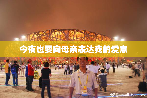 今夜也要向母亲表达我的爱意