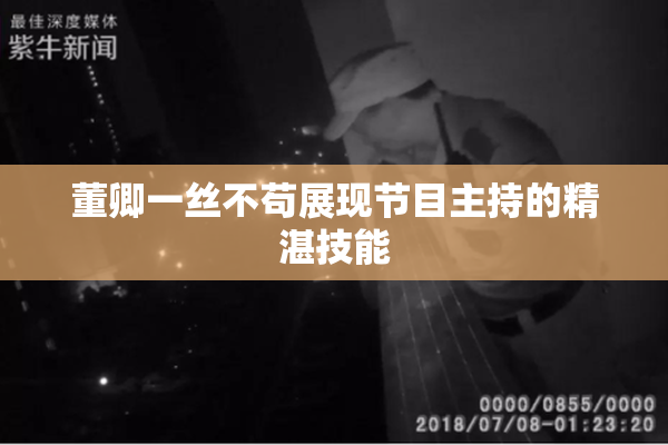 董卿一丝不苟展现节目主持的精湛技能