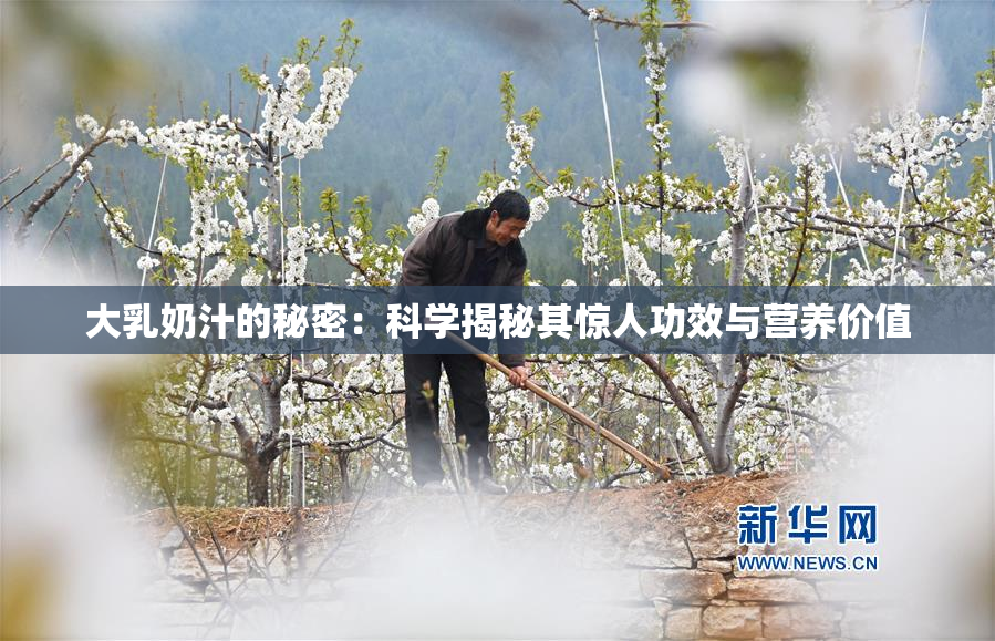 大乳奶汁的秘密：科学揭秘其惊人功效与营养价值