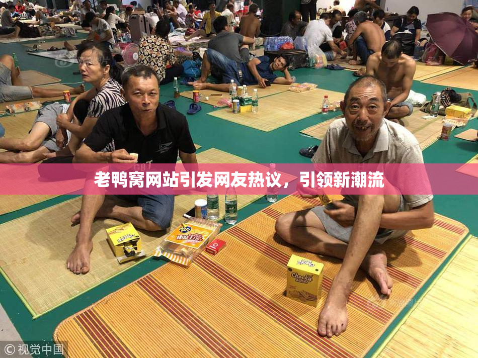 老鸭窝网站引发网友热议，引领新潮流