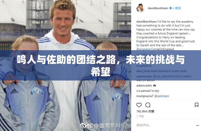 鸣人与佐助的团结之路，未来的挑战与希望
