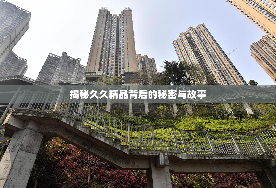揭秘久久精品背后的秘密与故事