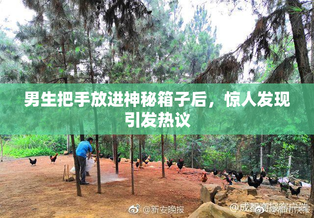 男生把手放进神秘箱子后，惊人发现引发热议