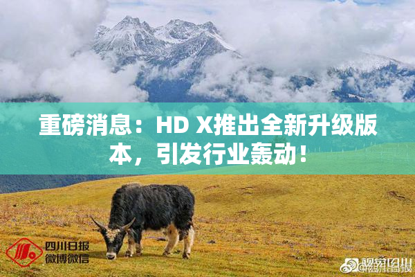 重磅消息：HD X推出全新升级版本，引发行业轰动！