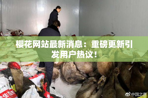 樱花网站最新消息：重磅更新引发用户热议！