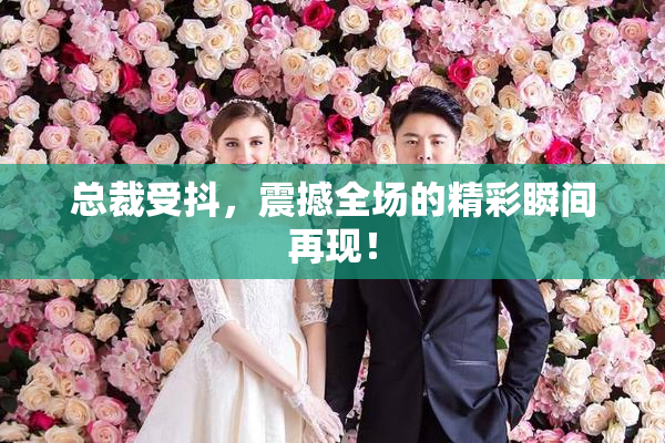总裁受抖，震撼全场的精彩瞬间再现！