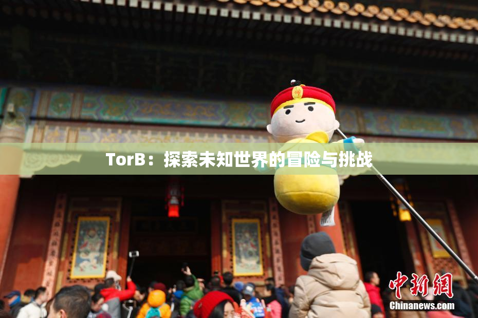 TorB：探索未知世界的冒险与挑战