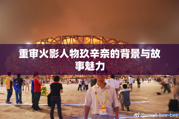 重审火影人物玖辛奈的背景与故事魅力