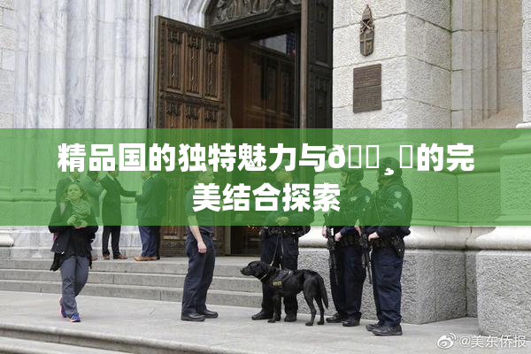 精品国的独特魅力与🌸‌的完美结合探索