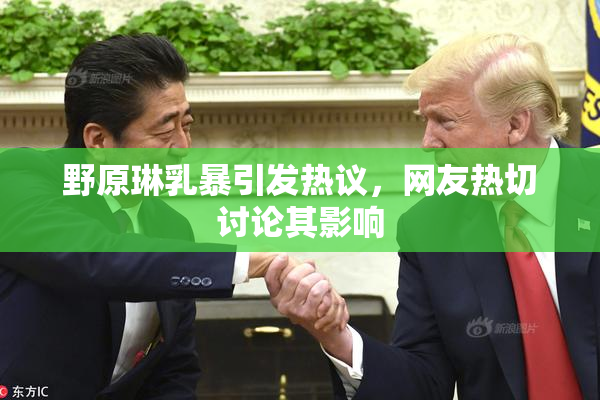 野原琳乳暴引发热议，网友热切讨论其影响
