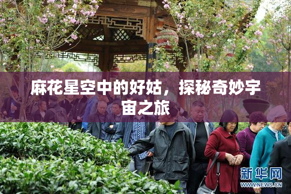 麻花星空中的好姑，探秘奇妙宇宙之旅