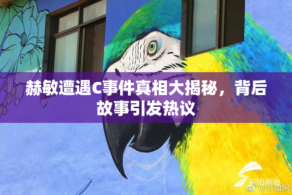 赫敏遭遇C事件真相大揭秘，背后故事引发热议