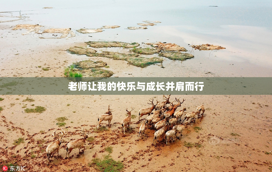 老师让我的快乐与成长并肩而行