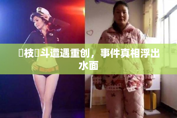 狛枝凪斗遭遇重创，事件真相浮出水面