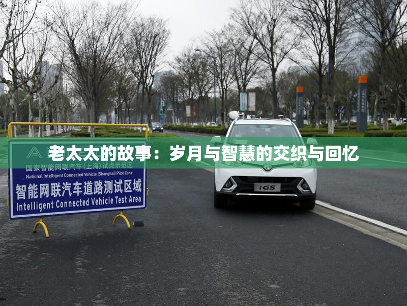 老太太的故事：岁月与智慧的交织与回忆
