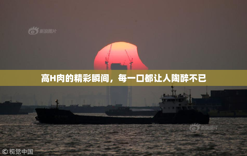 高H肉的精彩瞬间，每一口都让人陶醉不已