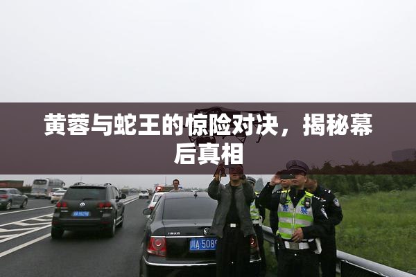 黄蓉与蛇王的惊险对决，揭秘幕后真相