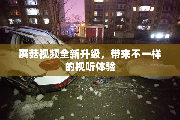 蘑菇视频全新升级，带来不一样的视听体验