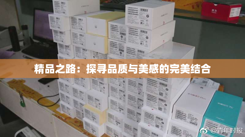 精品之路：探寻品质与美感的完美结合