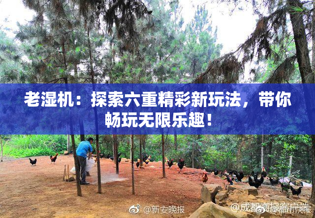 老湿机：探索六重精彩新玩法，带你畅玩无限乐趣！