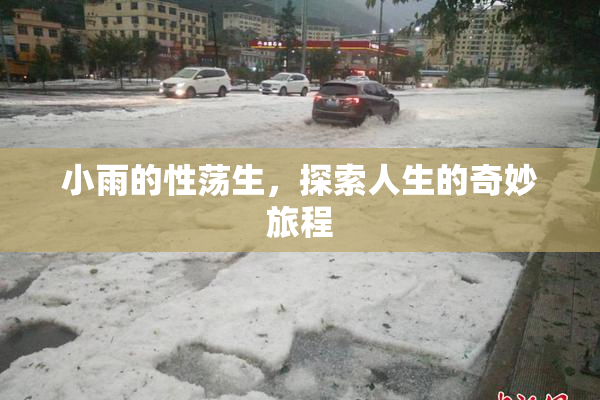 小雨的性荡生，探索人生的奇妙旅程