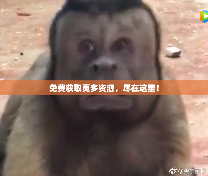 免费获取更多资源，尽在这里！