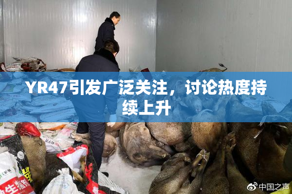 YR47引发广泛关注，讨论热度持续上升