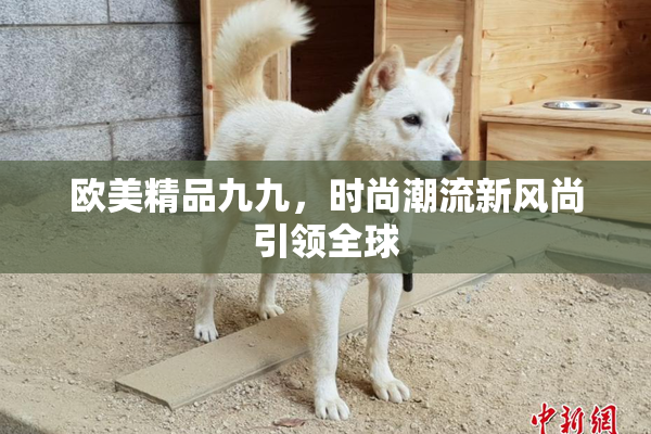 欧美精品九九，时尚潮流新风尚引领全球