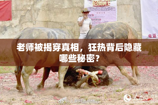 老师被揭穿真相，狂热背后隐藏哪些秘密？