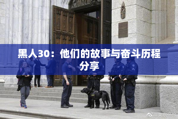 黑人30：他们的故事与奋斗历程分享